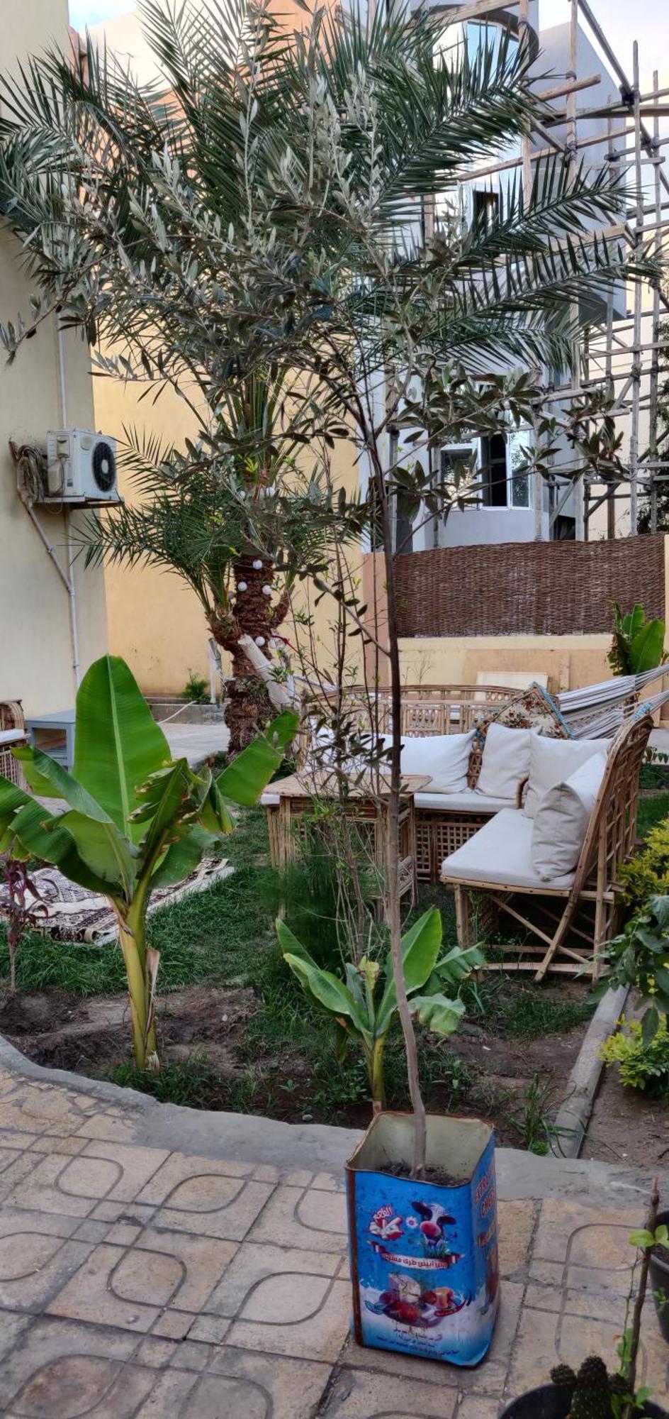 Villa Anna & Snake Hurghada Exterior foto